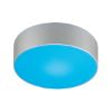 LEDISC