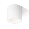 GINA CEILING